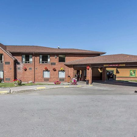 Comfort Inn Corner Brook Esterno foto