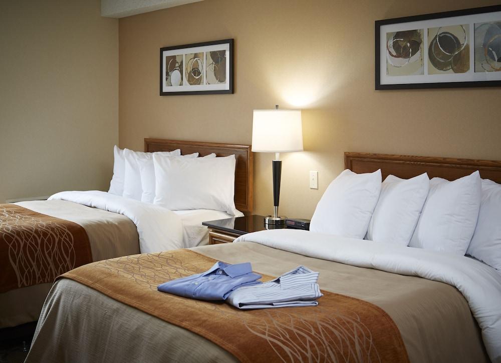 Comfort Inn Corner Brook Esterno foto